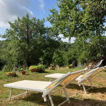 Apartamento Podere La Croce Toscana