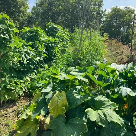 Apartamento Podere La Croce Toscana