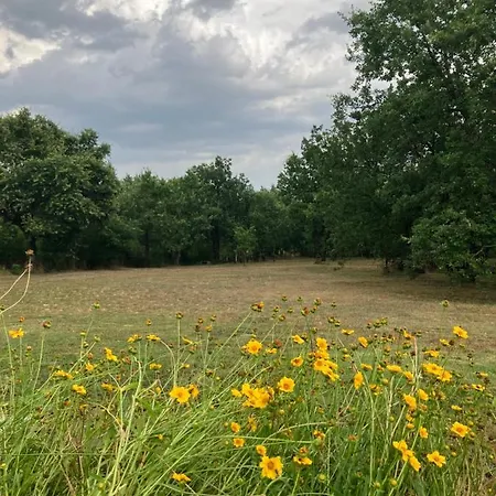 Apartamento Podere La Croce Toscana