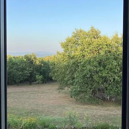 Apartamento Podere La Croce Toscana