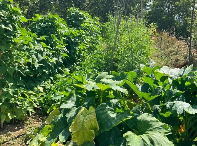 Appartamento Podere La Croce Toscana