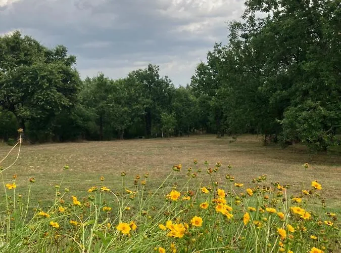 Appartamento Podere La Croce Toscana