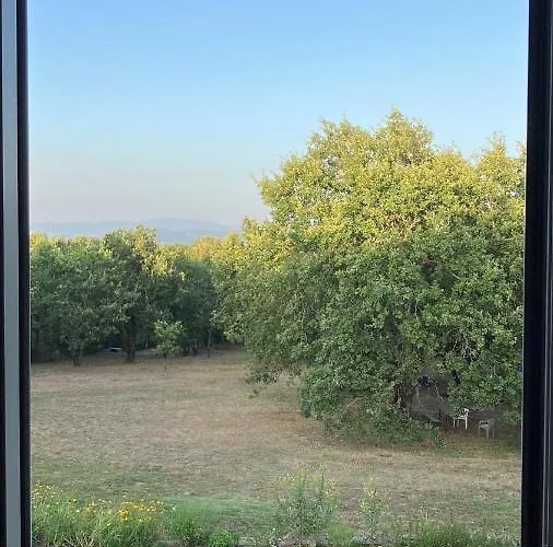 Appartamento Podere La Croce Toscana